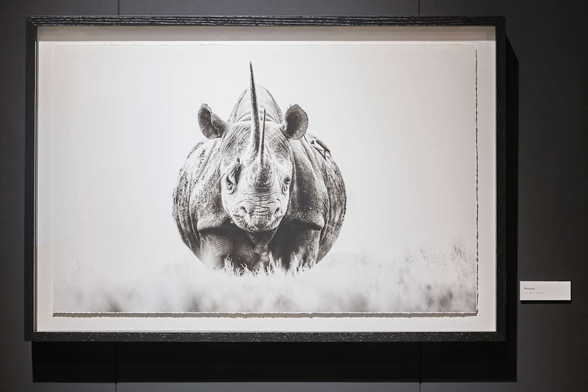With Sonia 1/12 24X36" by Guadalupe Laiz | Gallery Space 