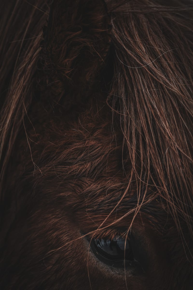 Fijodur 1/12 40X55" by Guadalupe Laiz | Gallery Space 
