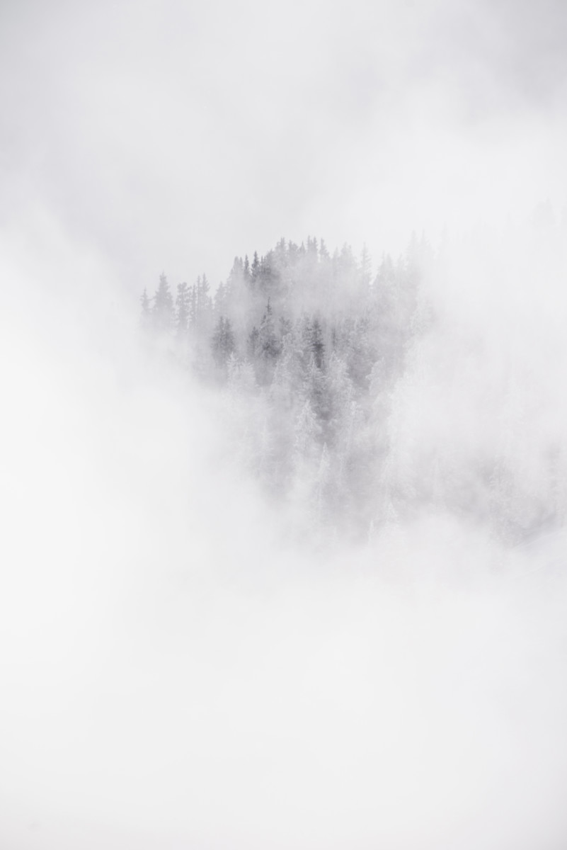 Fog II 1/20 by Guadalupe Laiz | Gallery Space 