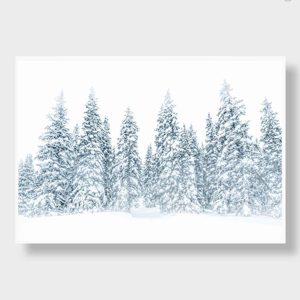 Christmas 2/12 24X36" by Guadalupe Laiz | Gallery Space 