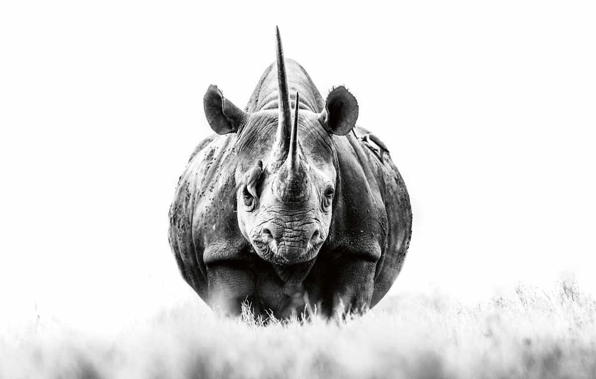 With Sonia 1/12 24X36" by Guadalupe Laiz | Gallery Space 