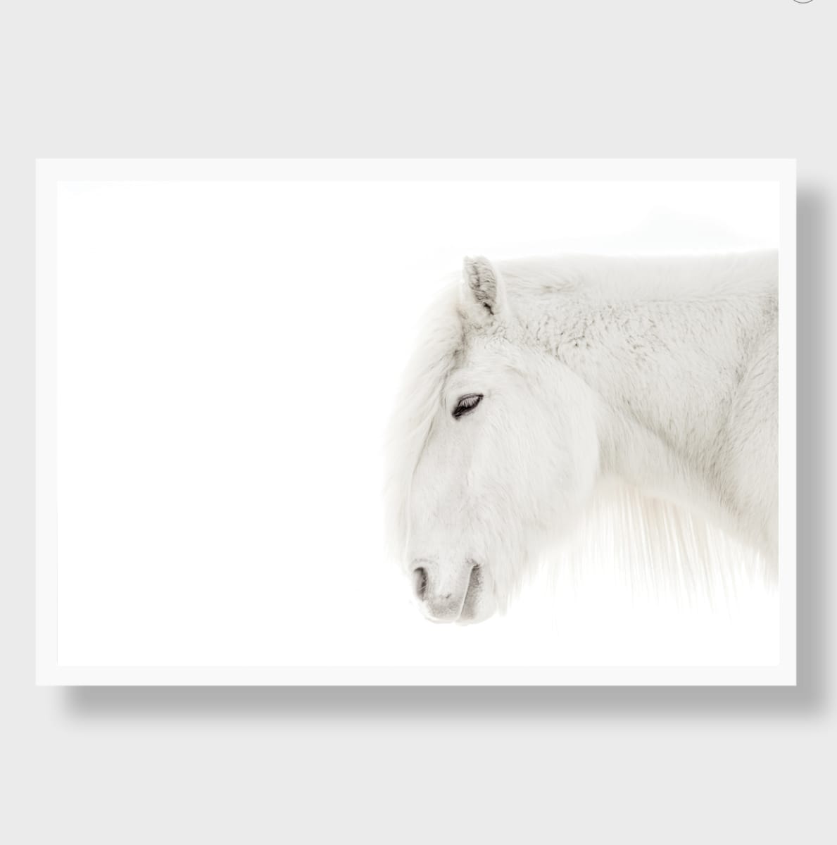Faxi 5/12 27.5X31.5" by Guadalupe Laiz | Gallery Space 