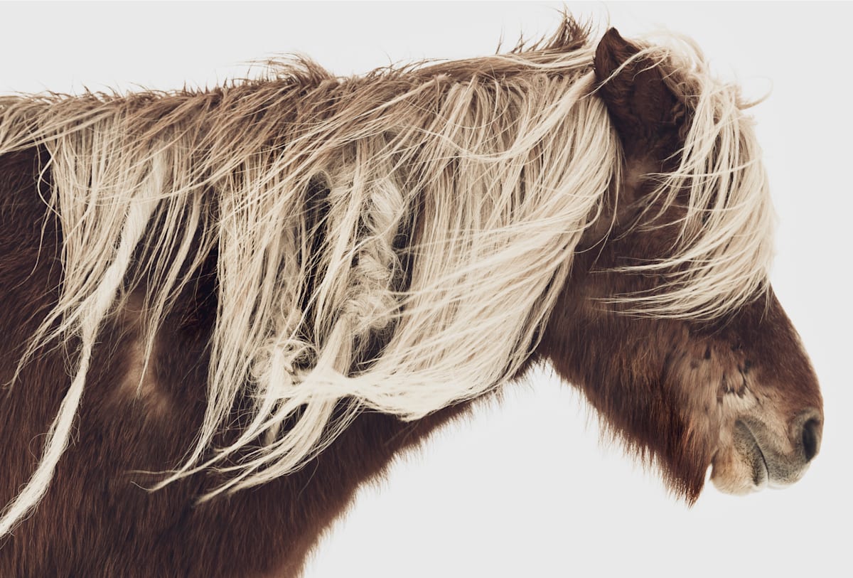 My roots go deep  3/12 24X36" by Guadalupe Laiz | Gallery Space 