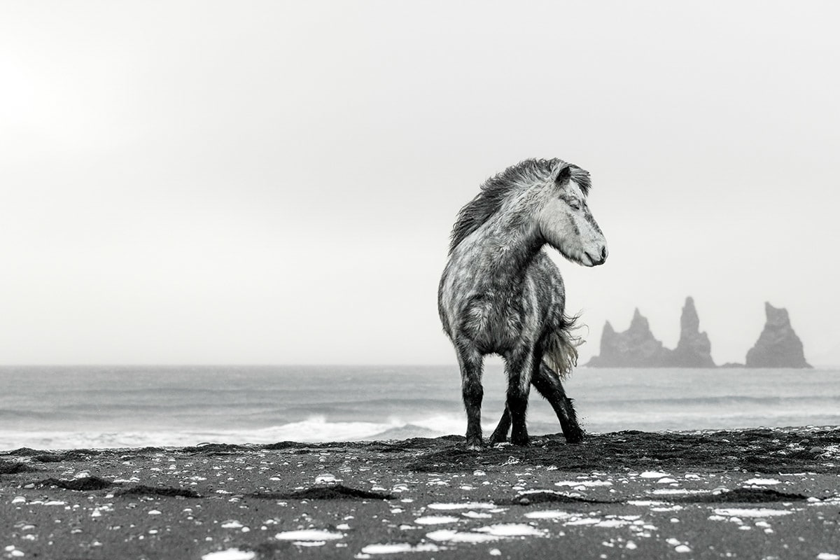 Vik by Guadalupe Laiz | Gallery Space 