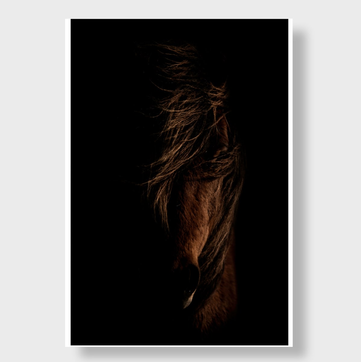 Slepless Night 8/20 60X40" by Guadalupe Laiz | Gallery Space 
