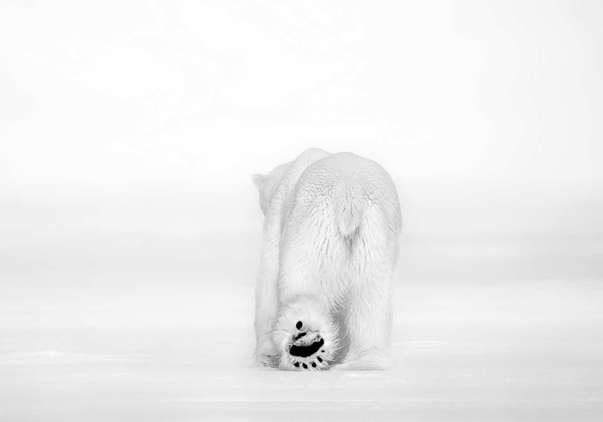 Go With Happiness 40X55" 2/12 . by Guadalupe Laiz | Gallery Space 