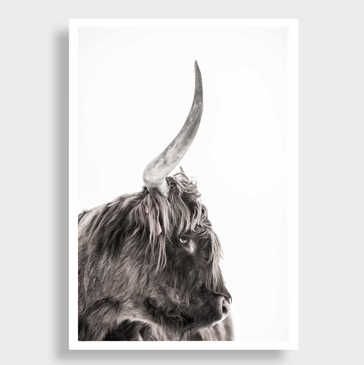 Acorns 11/20 by Guadalupe Laiz | Gallery Space 