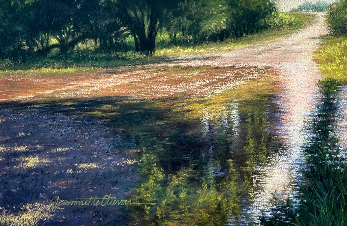 Rain Washed  Image: Low water crossing on Crane Rd., Pleasanton, TX.
