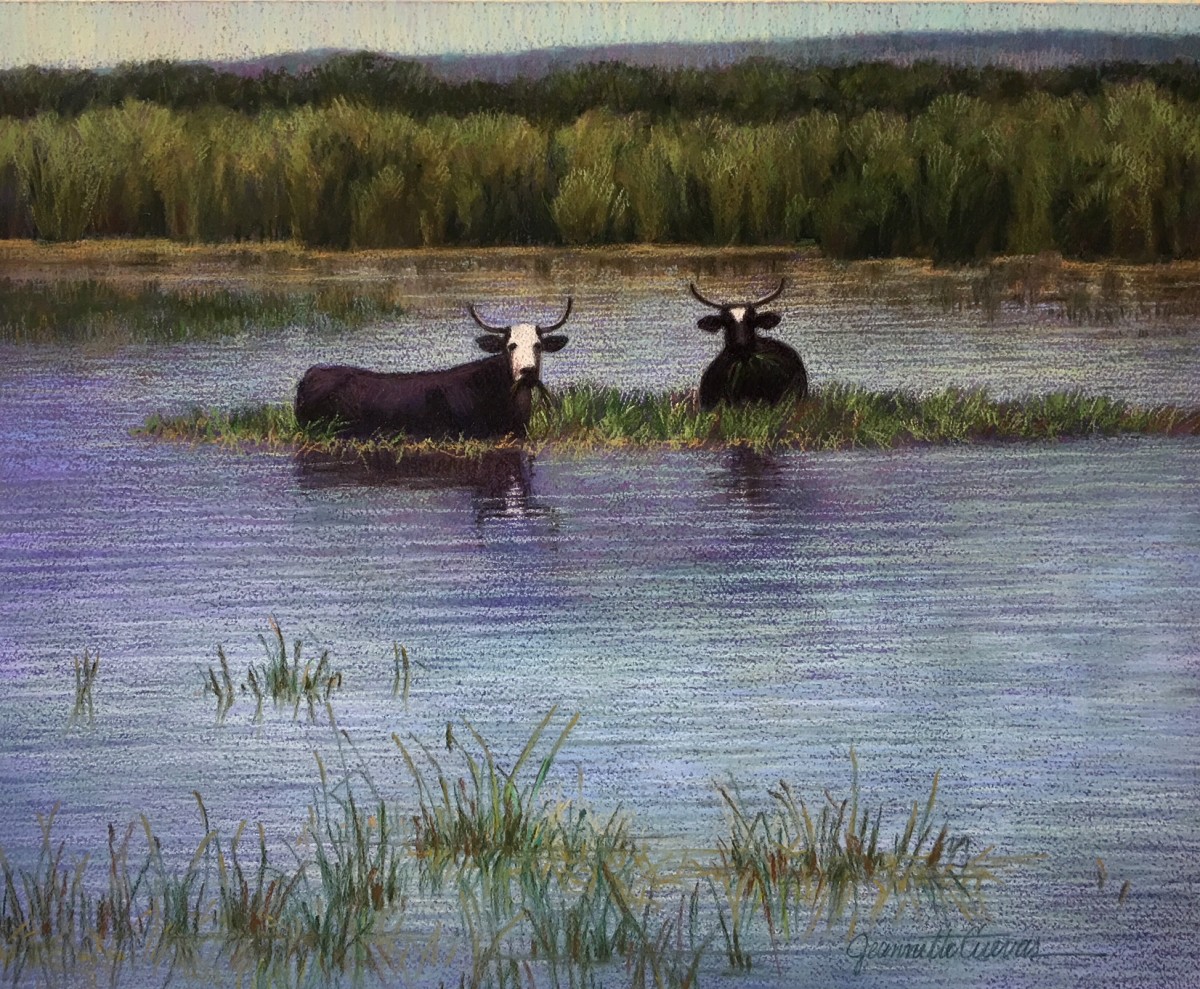 Cooling Off by Jeannette Cuevas  