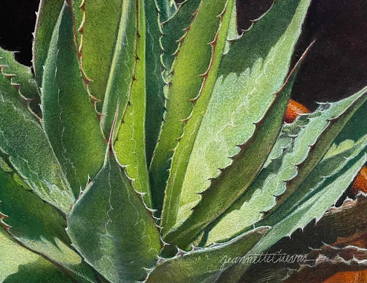 Agave Lights by Jeannette Cuevas, Image 1.