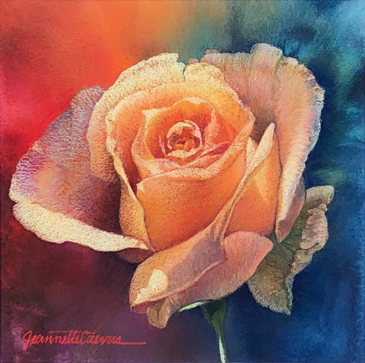 Rose Glow by Jeannette Cuevas  