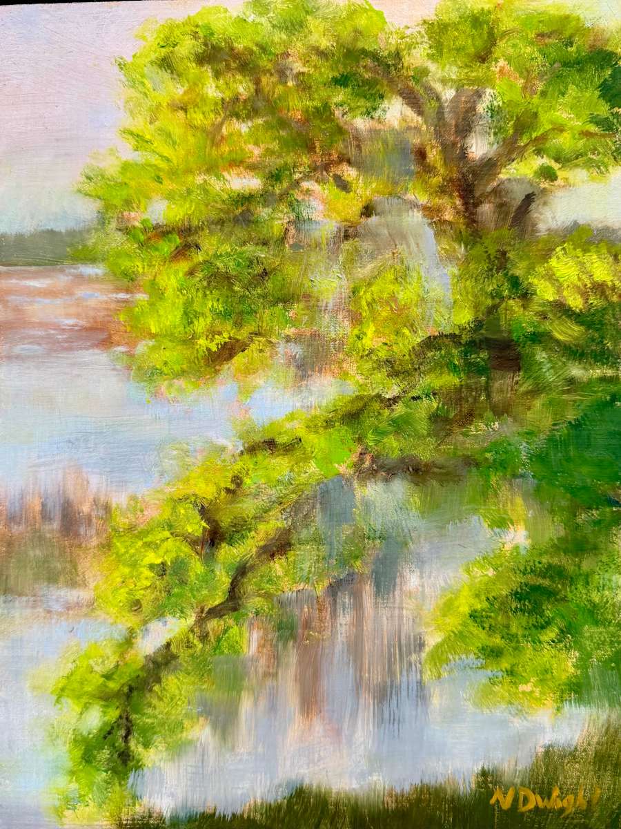 Spring Light along May River by Nancy Dwight, Image 1.