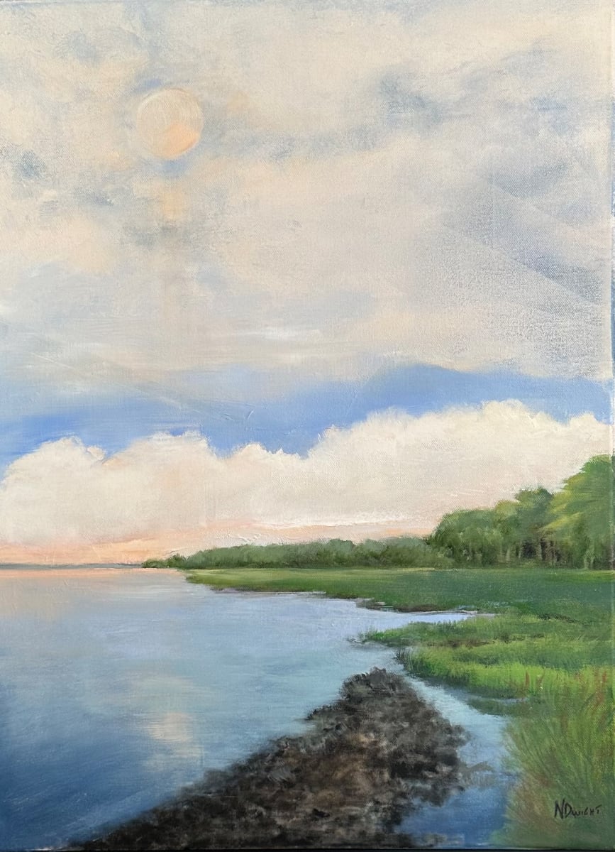 Lowcountry Lens by Nancy Dwight 