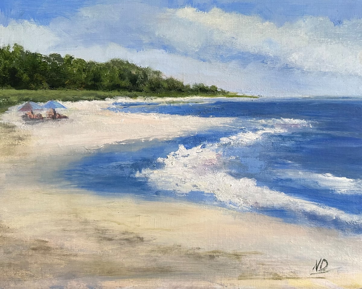 Windy Hunting Island Day by Nancy Dwight 