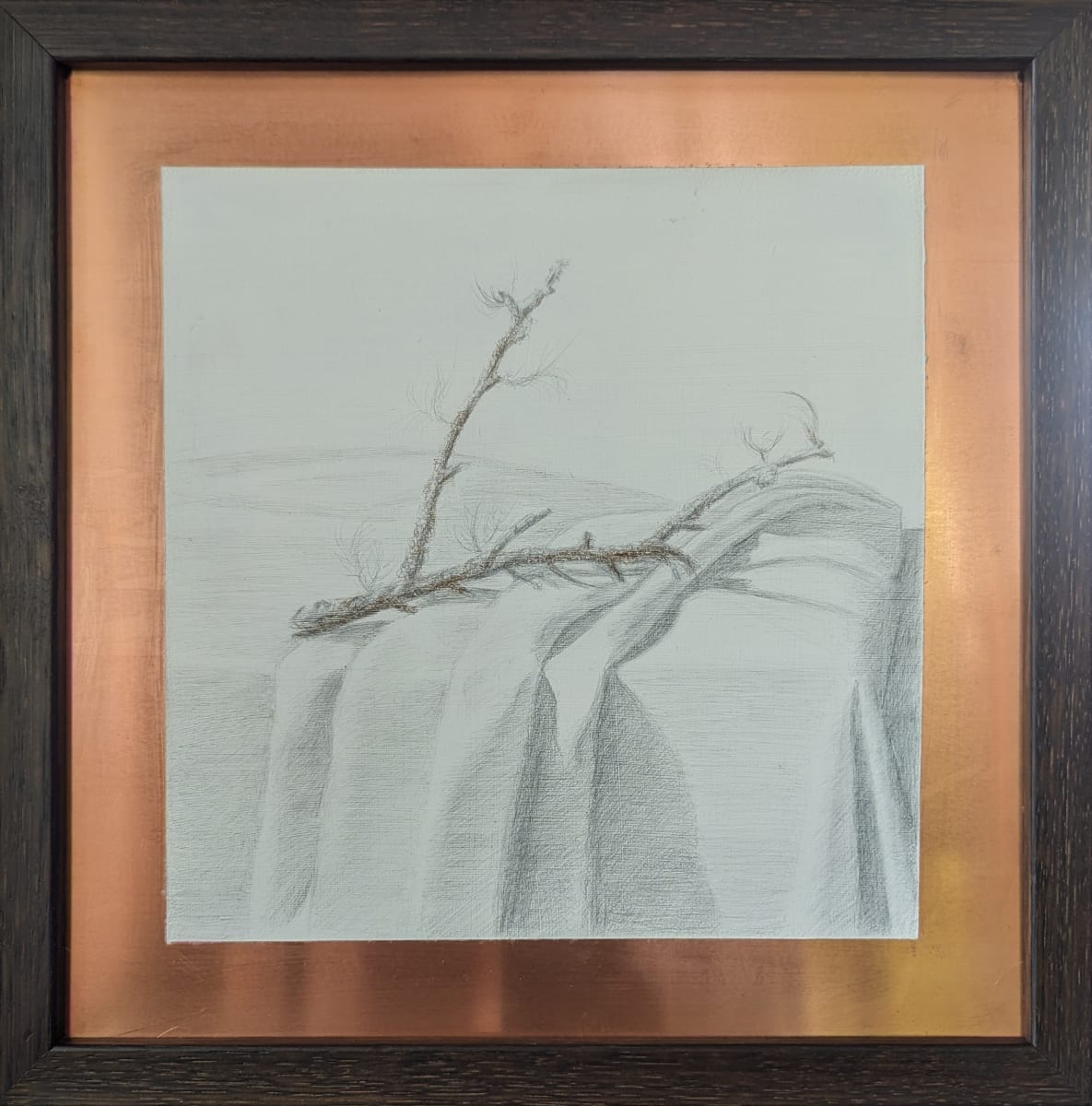 Cherry Branch with Lichen by Phil Went 