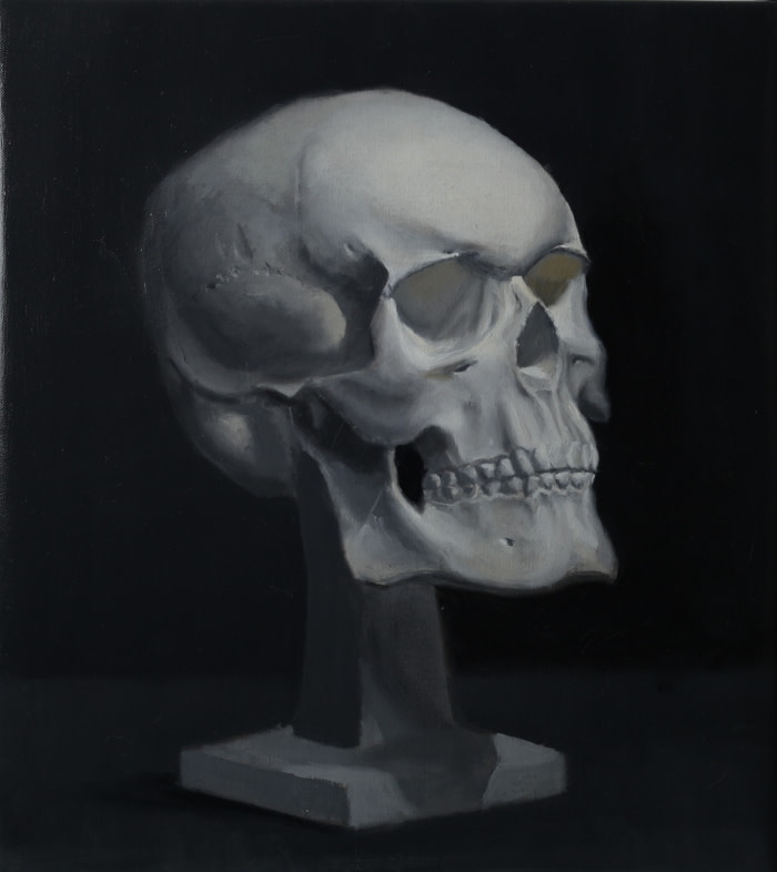 Skull Study by Phil Went 