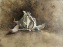 Garlic in Studio by Suzy Schultz 