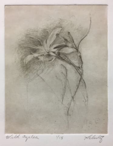 Wild Azalea, Image 2.