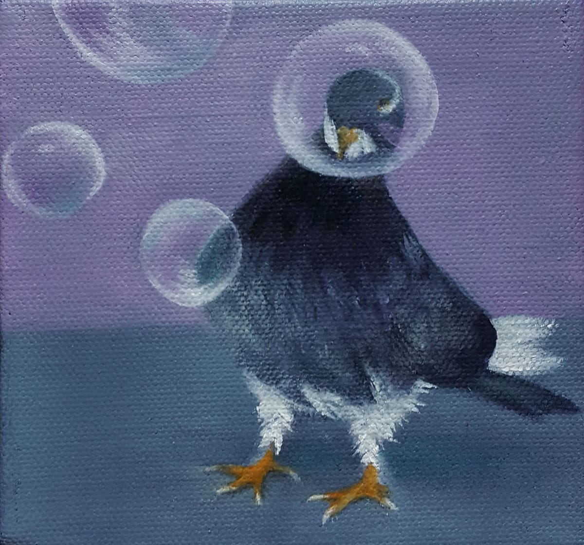 Bubbles by Rebecca Prince, Image 1.
