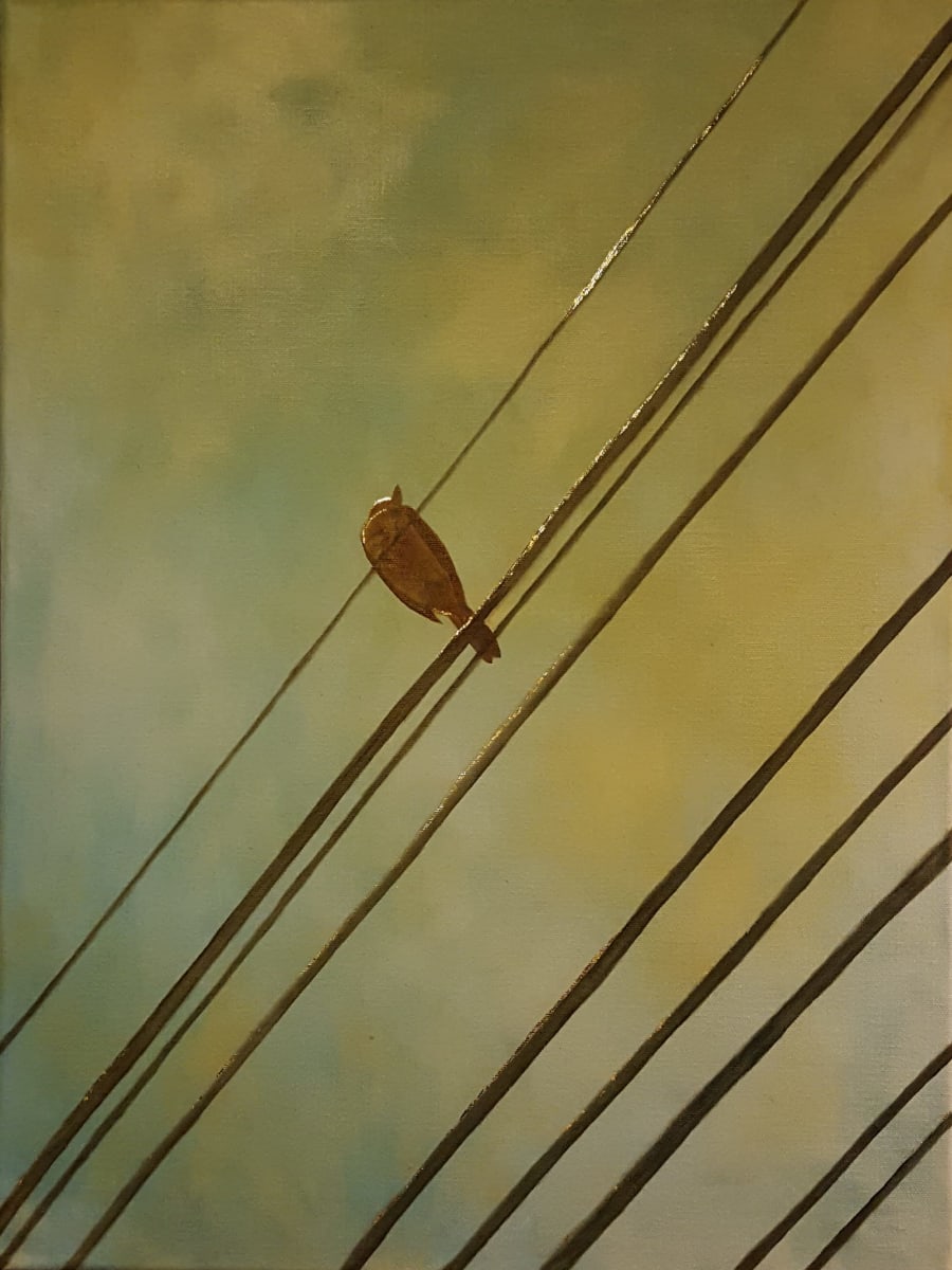 Highwire Bird by Rebecca Prince, Image 1.