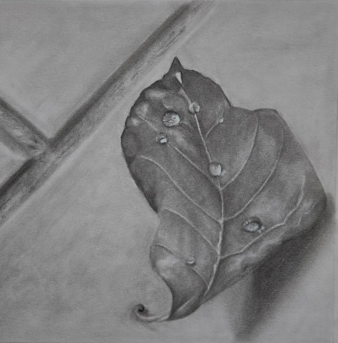 Leaf Drops by Rebecca Prince 