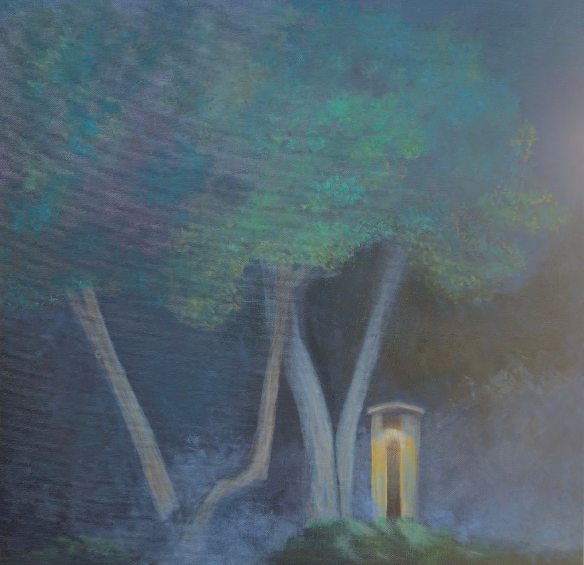 Where Light Dwells by Rebecca Prince 