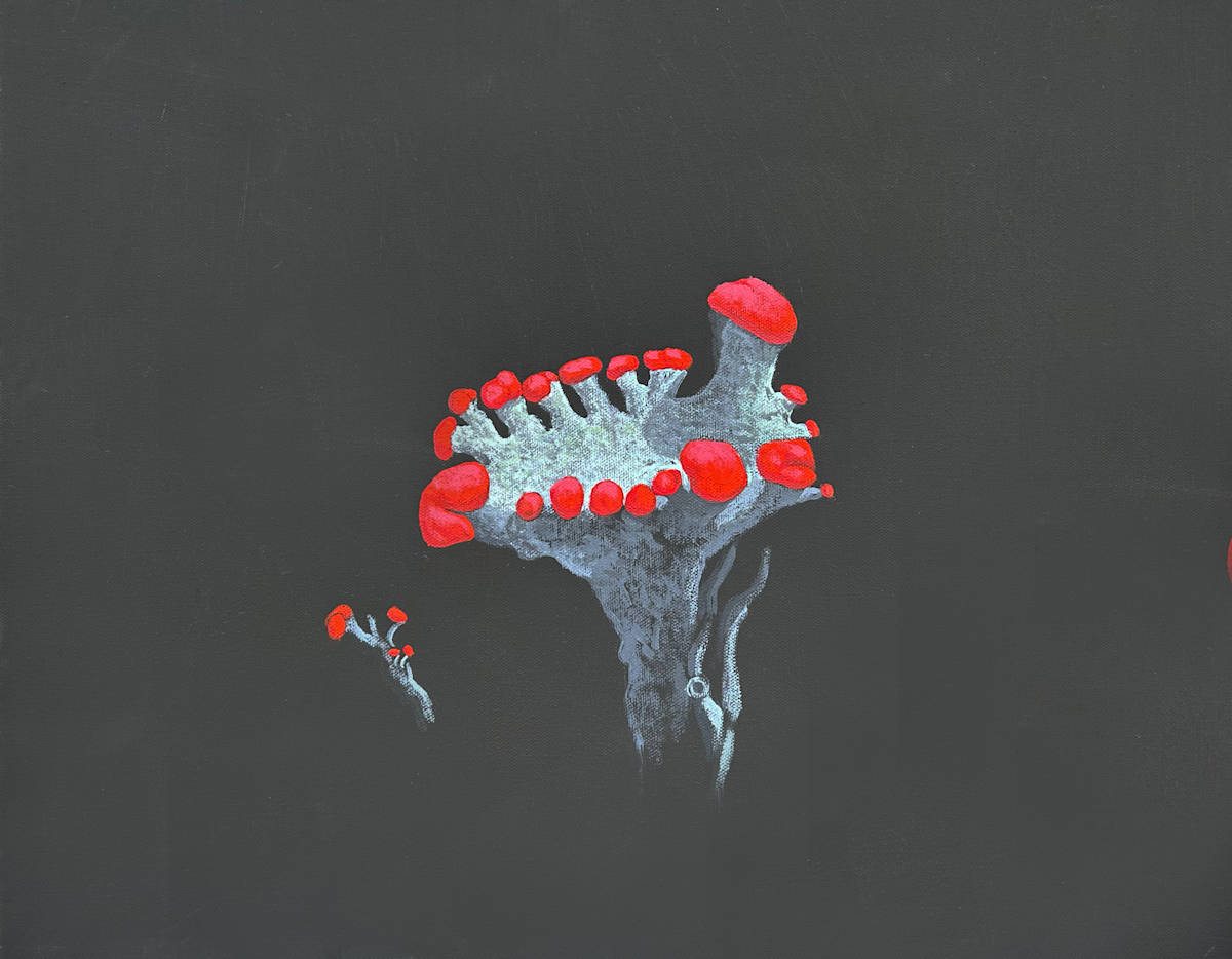 RED SOL:DIER by JANE TROUP 