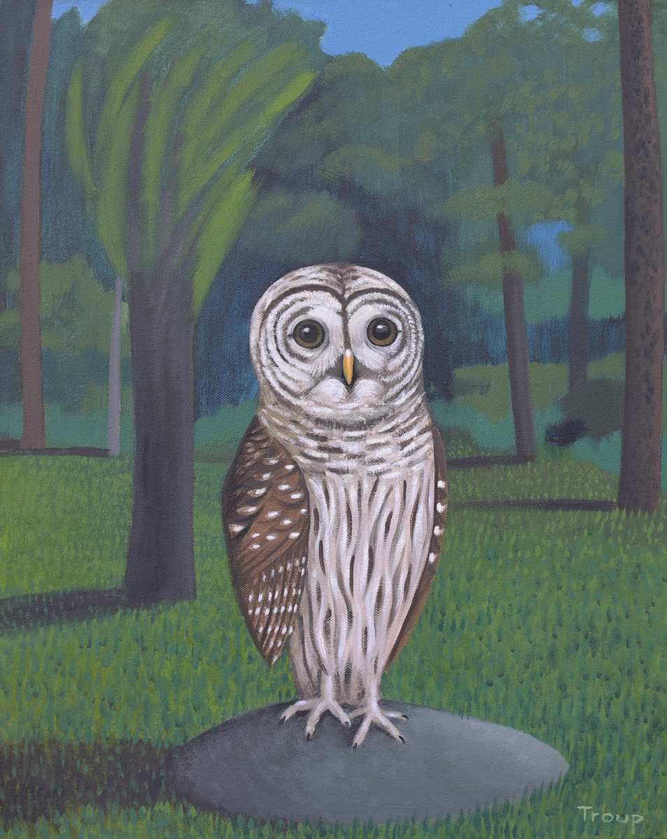 STANDING OWL by JANE TROUP, Image 1.