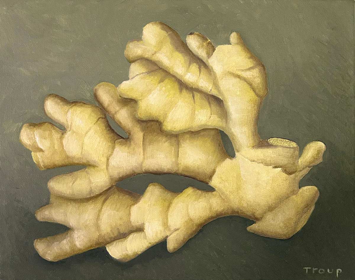 GINGER ROOT by JANE TROUP 