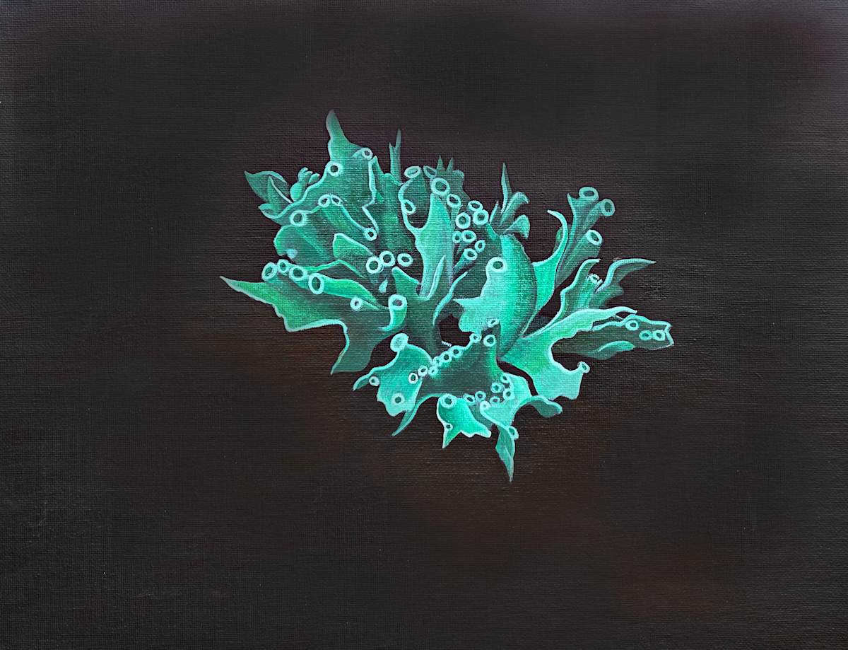 Lichen by JANE TROUP 