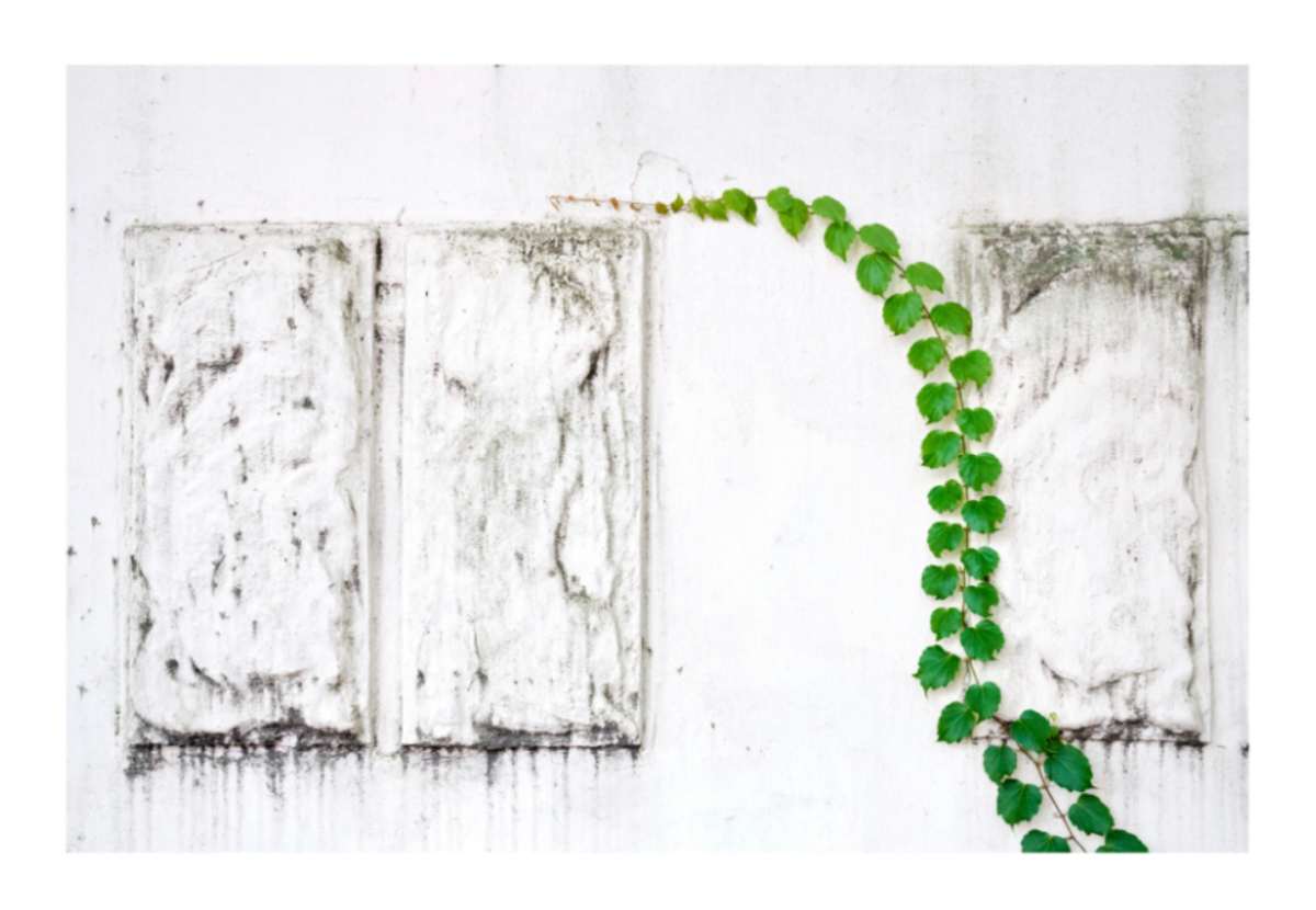 Touch of Nature #2  |  Framed by Jonathan Wheeler 