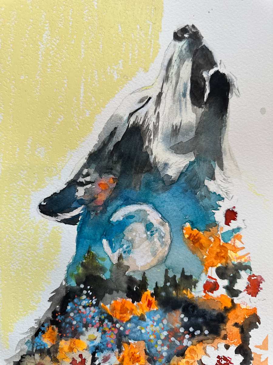 Wild Cartography no. 18 - Framed by Anna Wise 