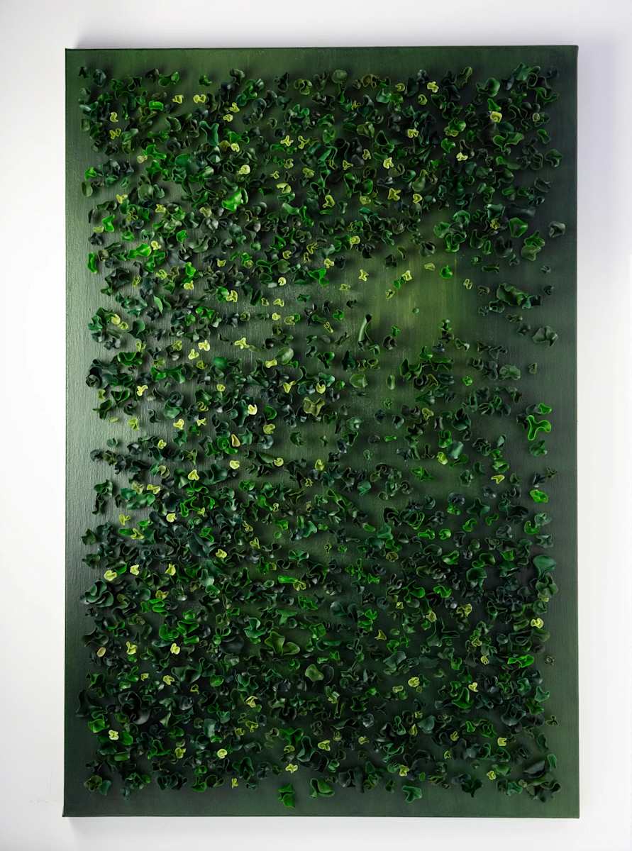 Forest by Anna Togrye 