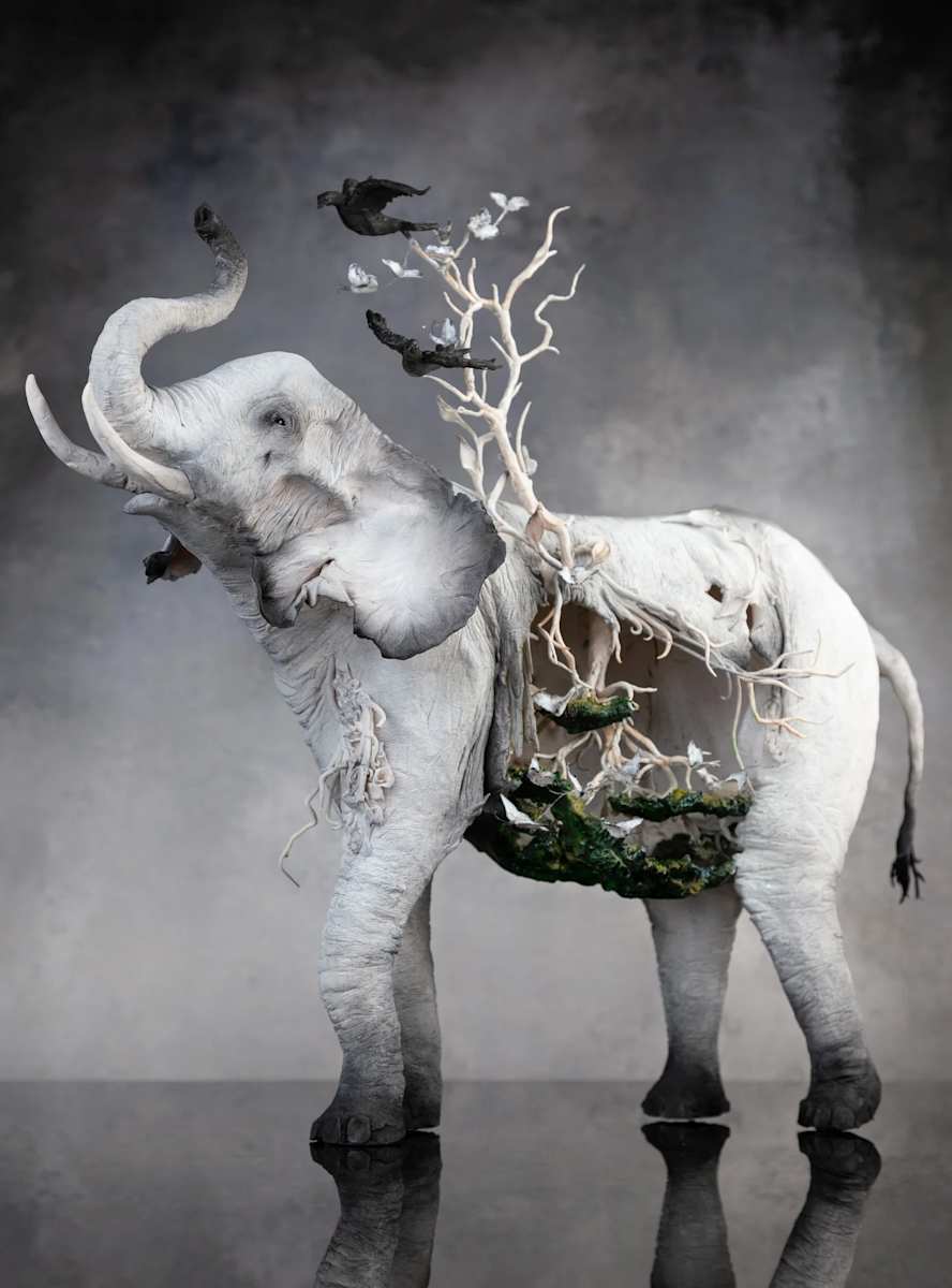 The World Without Us by Anna Togrye 