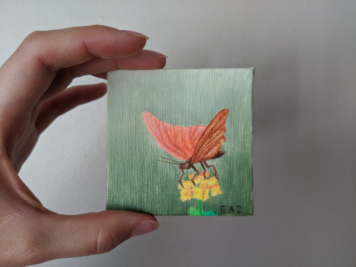 Butterfly on Flowers by Elizabeth A. Zokaites 