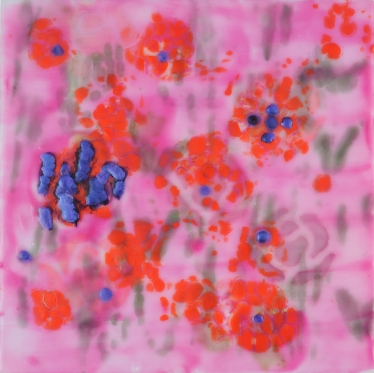 Hyacinth by Marilyn Banner, Image 1.