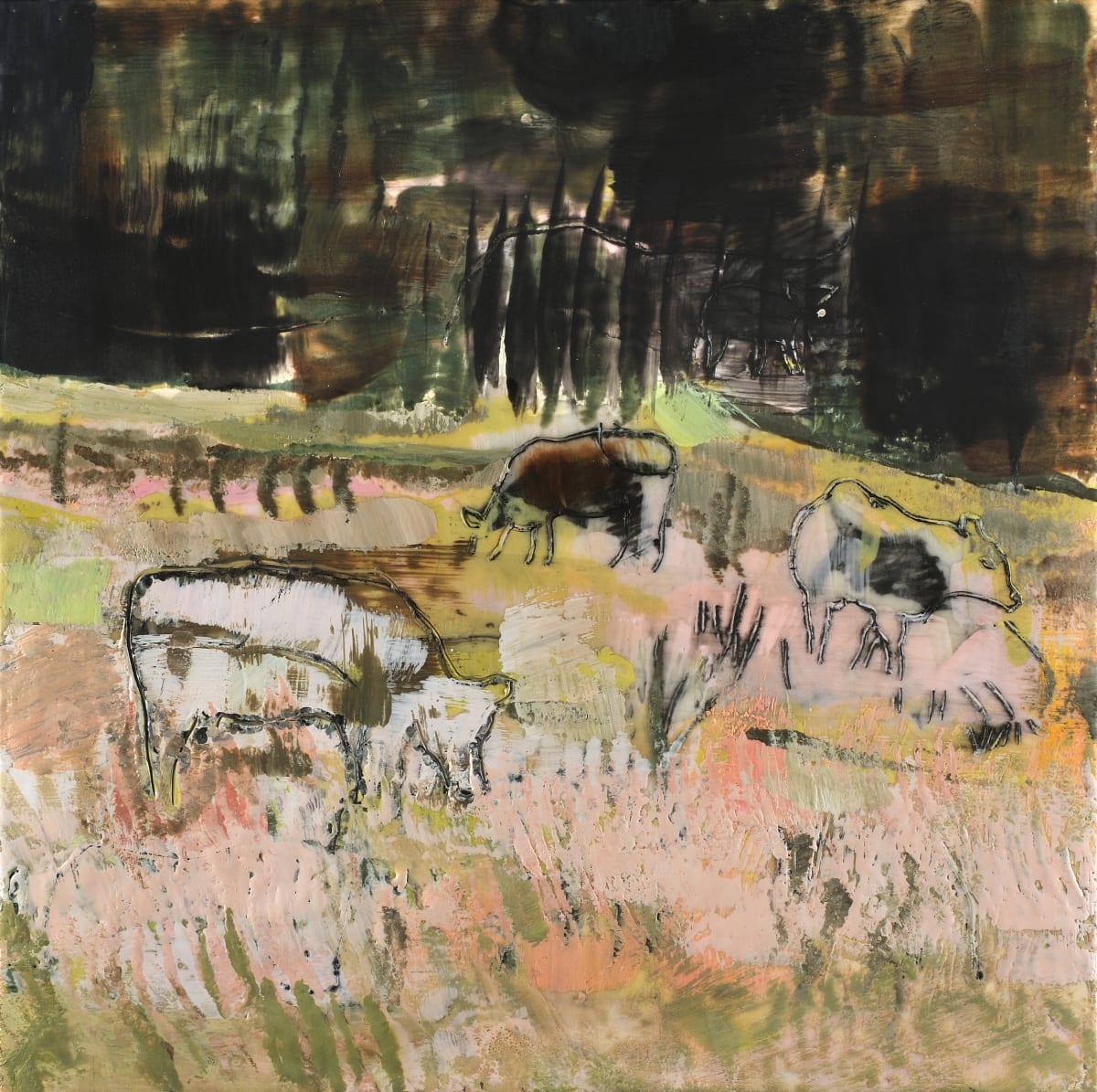 Cows in Pink 