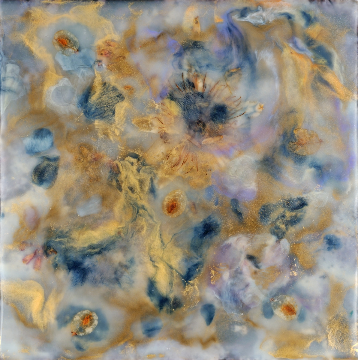 Seed Swirl 1 by Marilyn Banner 