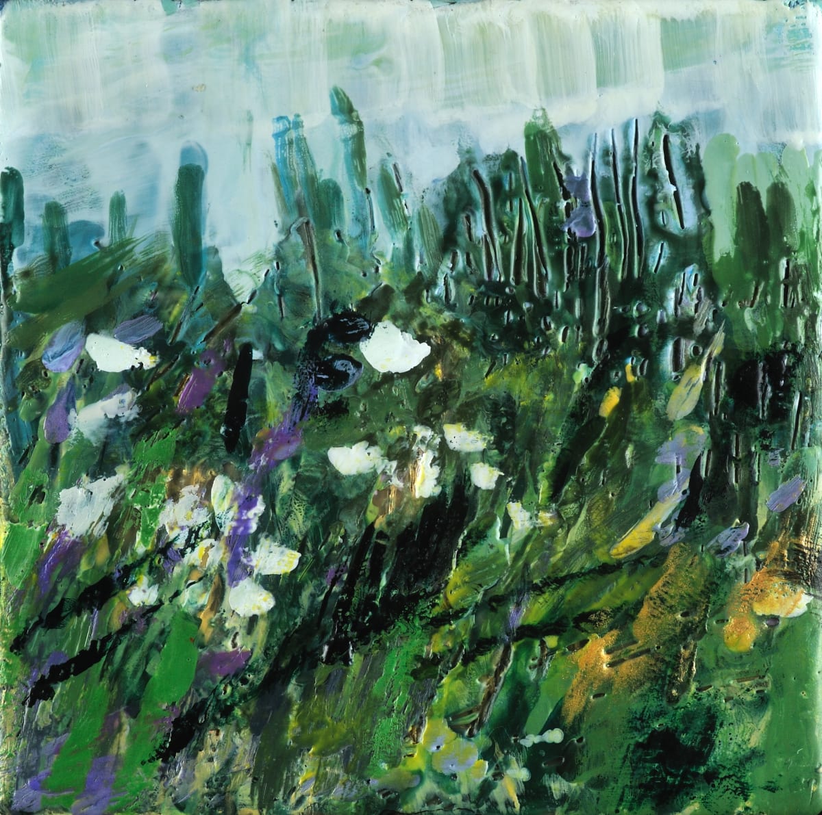 Wild Flowers 