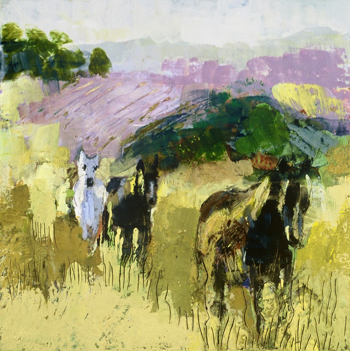 Coming Into Sunlight by Marilyn Banner, Image 1.