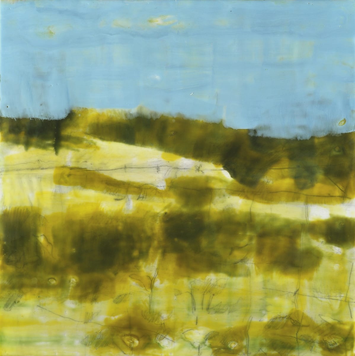 Silk Field by Marilyn Banner, Image 1.