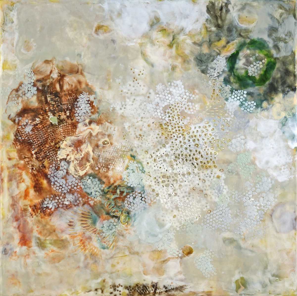 Barnacles by Marilyn Banner, Image 1.