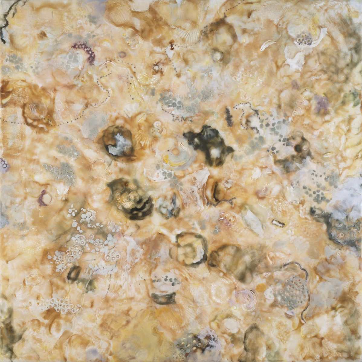 Escargot by Marilyn Banner, Image 1.