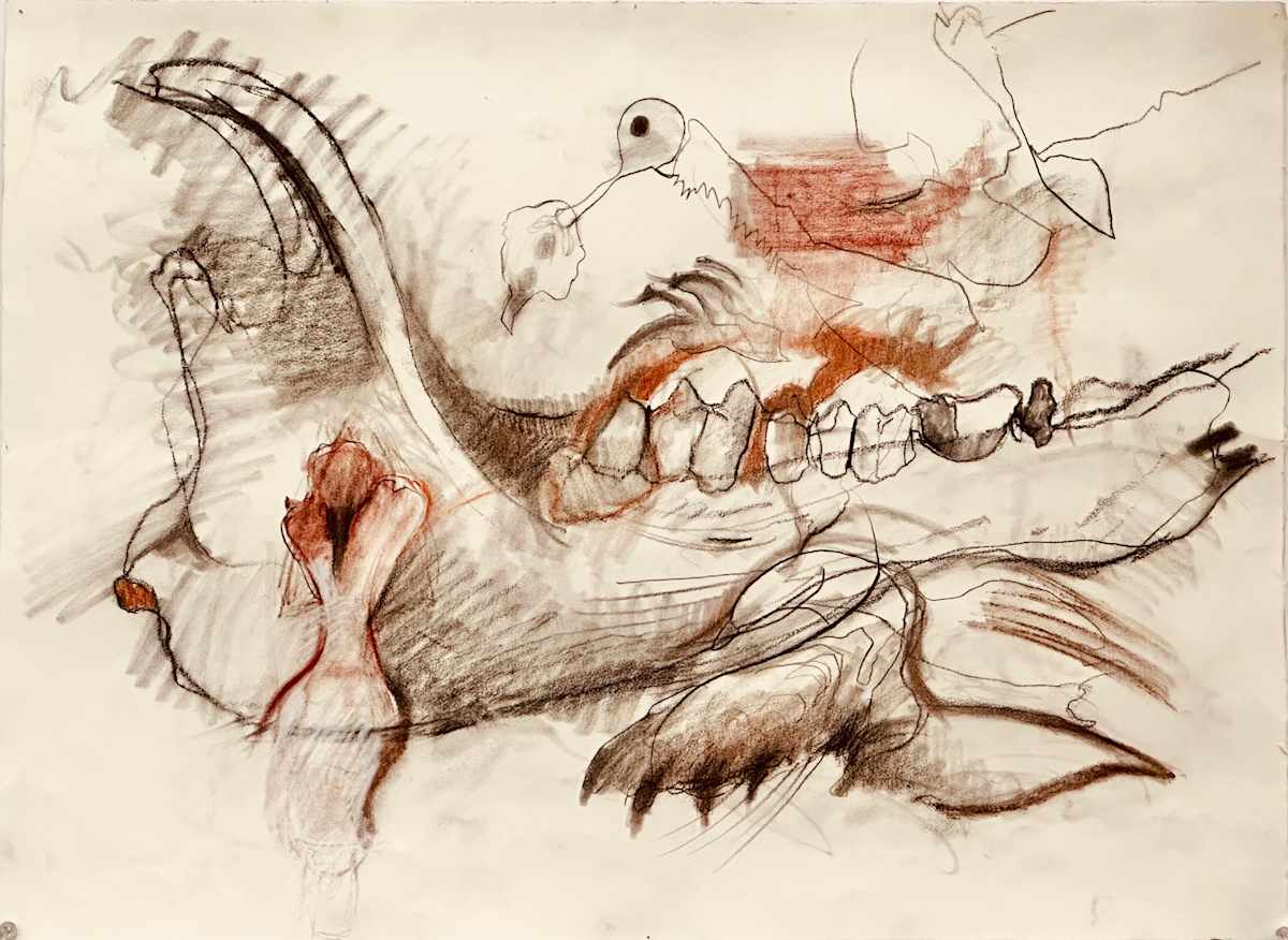 Jawbone by Marilyn Banner, Image 1.