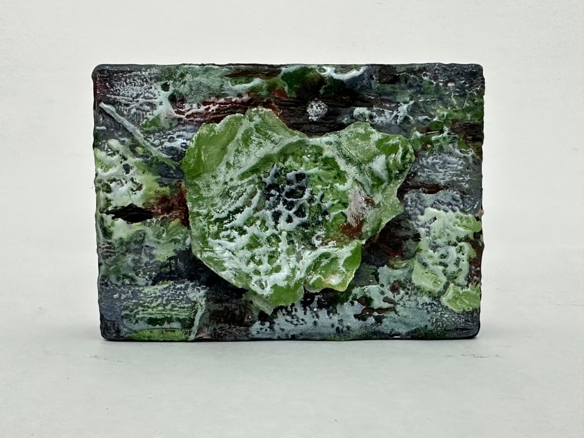 A Chunk of Tree by Marilyn Banner, Image 1.
