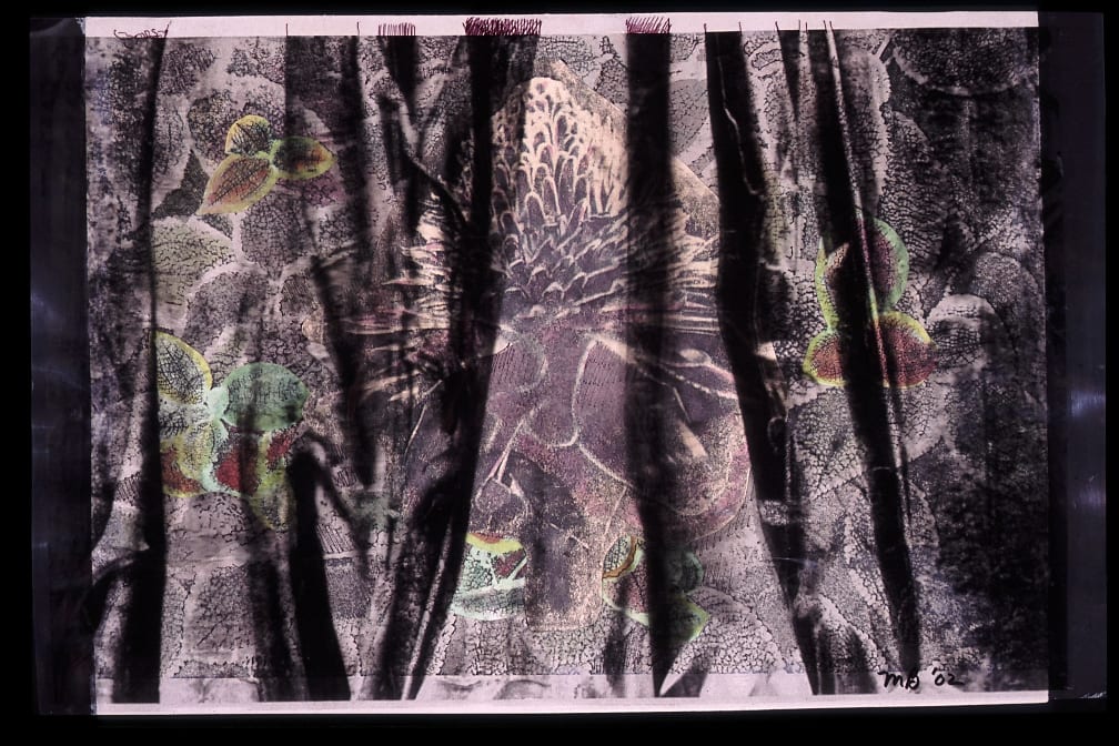 In the Beginning, Image 1.