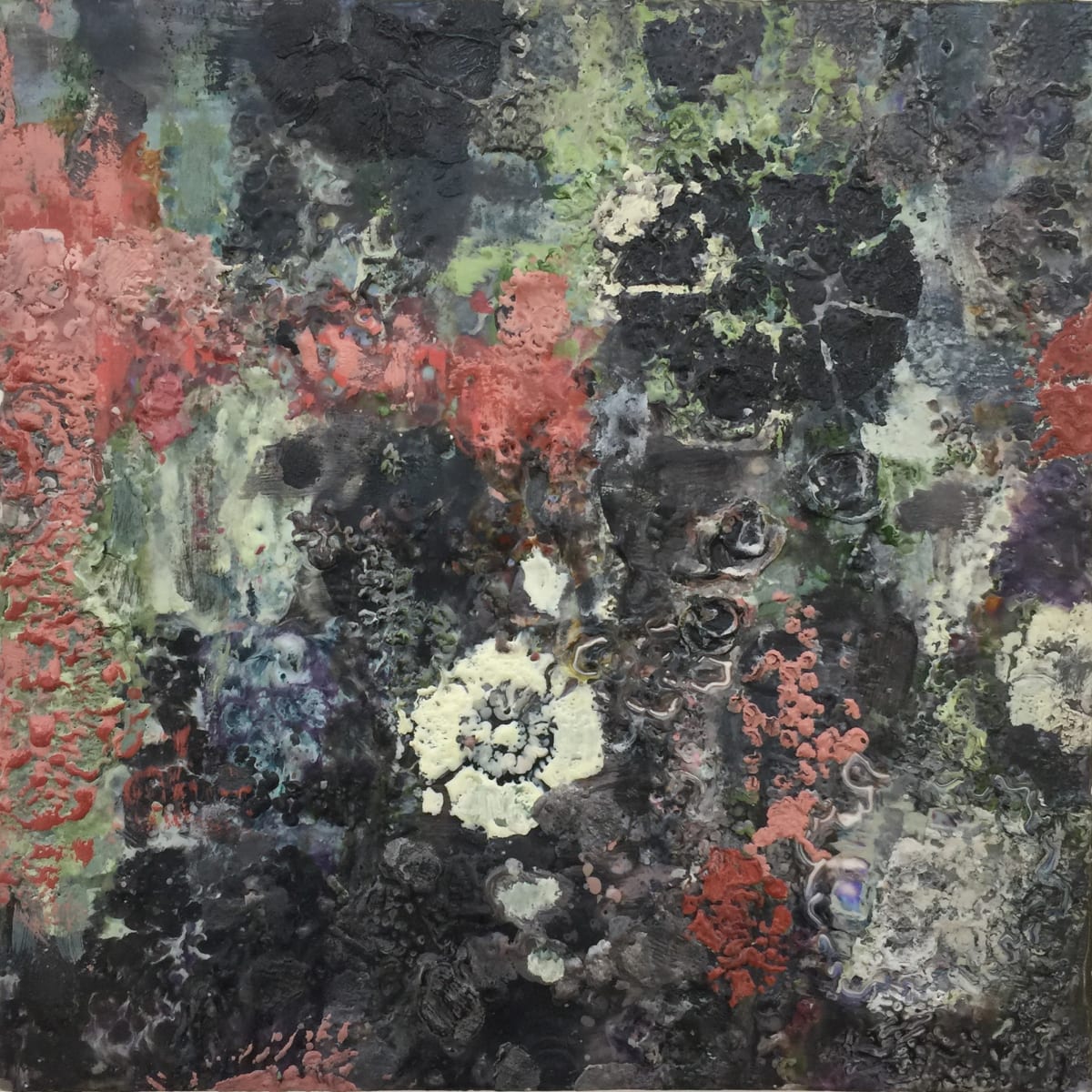 Lichen Sounds 2 by Marilyn Banner 