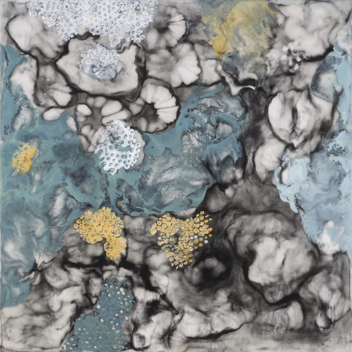 Lichen by Marilyn Banner, Image 1.