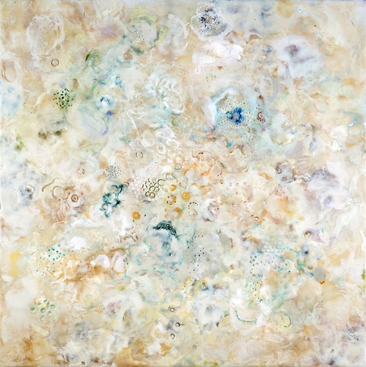 Lumina by Marilyn Banner 