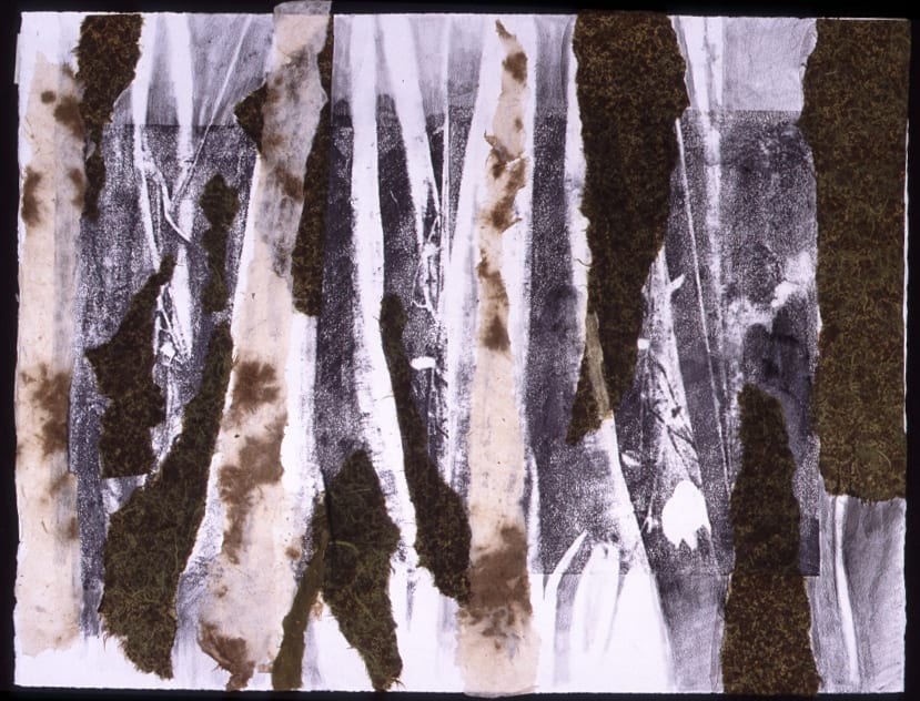 Rainforest 1 by Marilyn Banner 